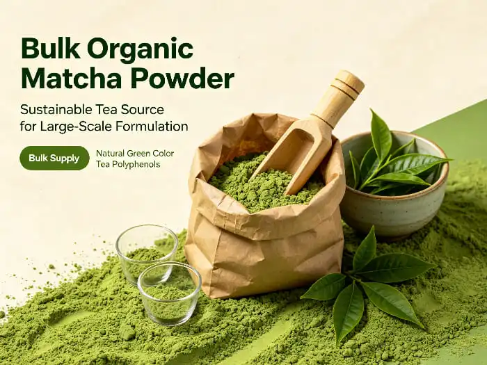 Key Factors to Consider When Sourcing Bulk Organic Matcha Powder